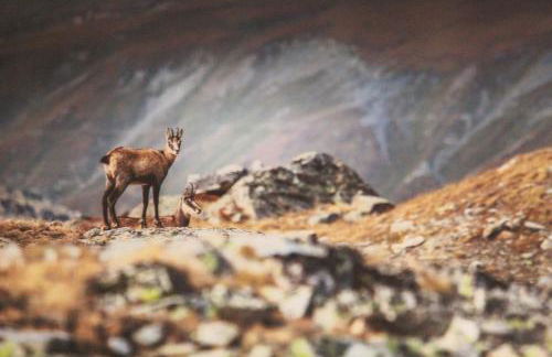 Maison Fosson - Foto 71