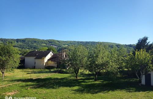 La Clematite d'Olt - Photo 3