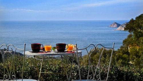 Absolument Levant - Foto 2