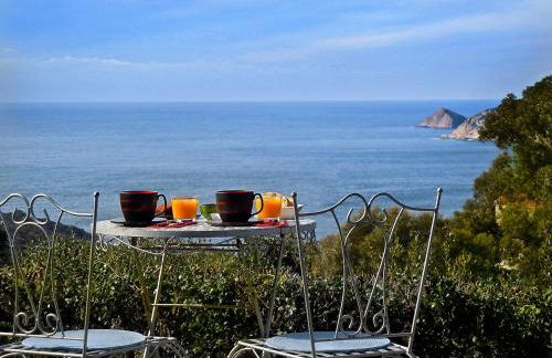 Absolument Levant - Foto 2