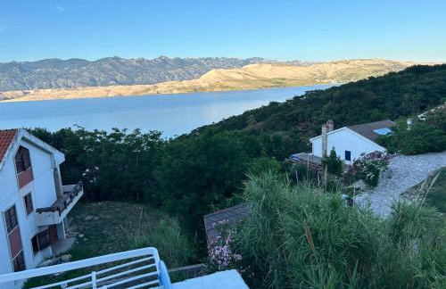 Apartmani Fijan - Photo 11