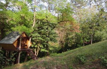 Porcaticcio - Foto 56