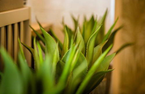 Amadores Beach Apartments - Foto 49