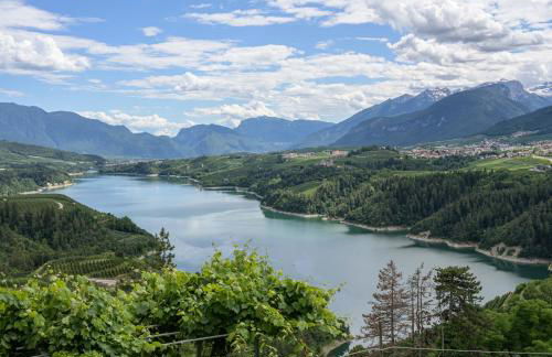 Casa Bolego - Photo 16