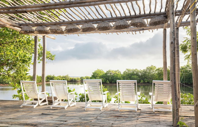 Club Mango - Photo 1