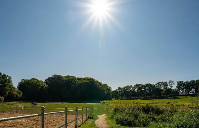 Wohnung Nahe Ostsee Kuhlungsborn - Foto 32