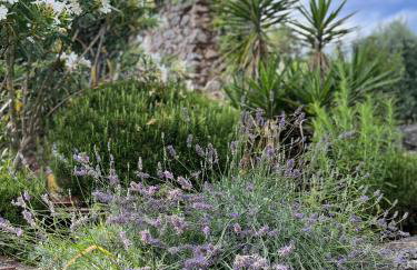 Apartments Mandić - More - Foto 16