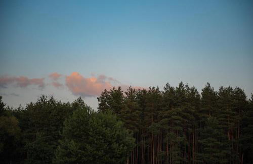 Uroczysko nad Pilicą Sauna & Balia - Foto 68