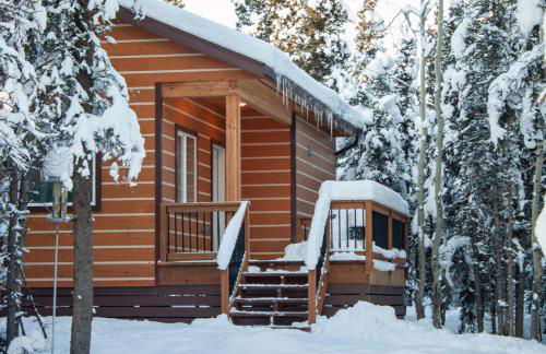 Denali Wild Stay - Moose Cabin, Free Wifi, 2 private bedrooms, sleep 6 - Photo 12