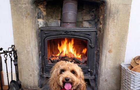 Welsh Gatehouse A Historic Castle Retreat that Welcomes Dogs and Electric Vehicles - Photo 45