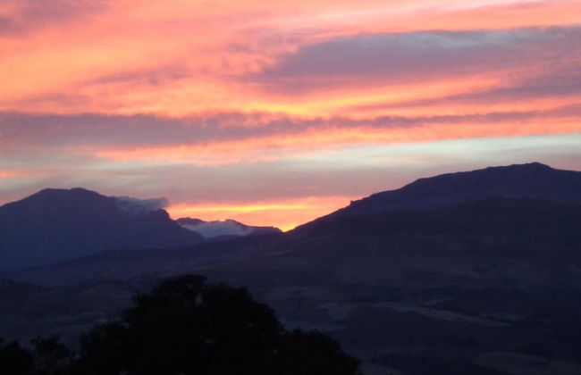 Agriturismo San Pietro - Photo 20