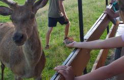 Mazurska Sielanka - Foto 27