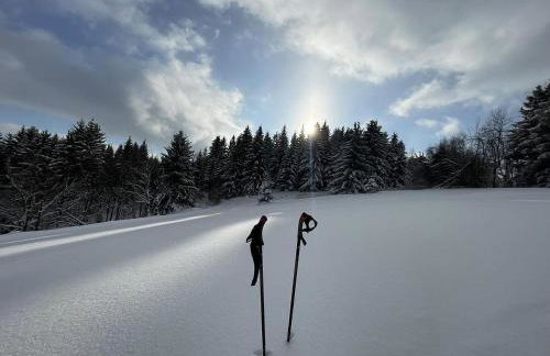 Filipówka - dom z sauną w Karkonoszach - Foto 32