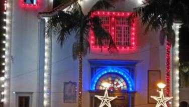 Palm Comfort - Foto 2