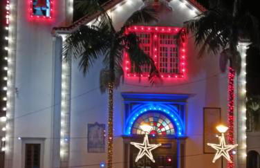 Palm Comfort - Foto 2