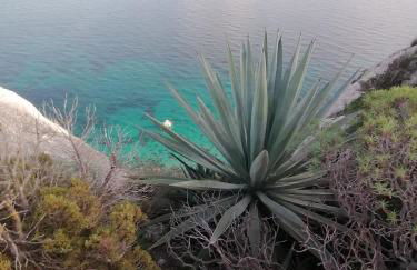 Aura di mare - Foto 17