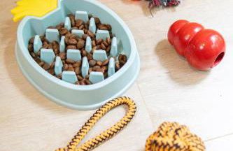 Bom pra Cachorro - Foto 11