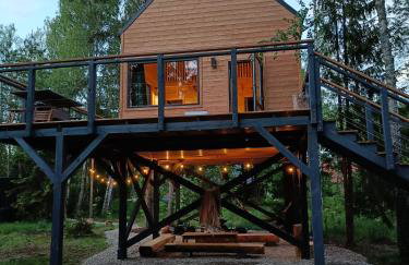 Zdalnie z Lasu - Siedlisko w Puszczy Białowieskiej - Foto 14