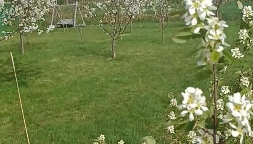 E Berry Farm - Slow life home - Foto 4