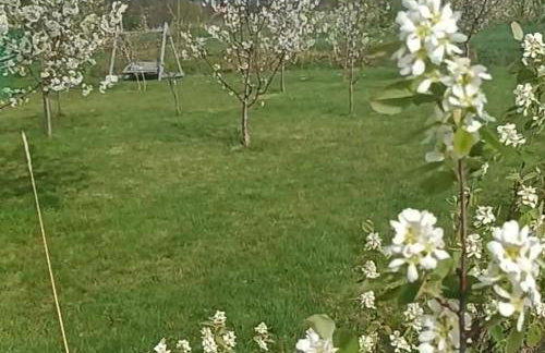 E Berry Farm - Slow life home - Foto 4