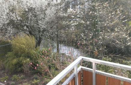 Seehaus Aachblick, Exklusive Appartements und Ferienwohnungen - Foto 18