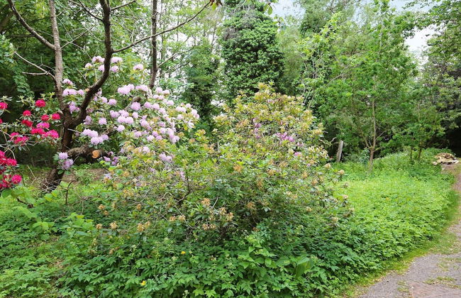 6 Person Holiday Home in Dronningmolle-by Traum - Foto 56