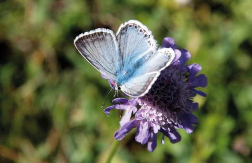 Holiday Home Osterkamp by Interhome - Foto 24