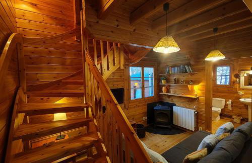 El Pi Solitari - Photo 11