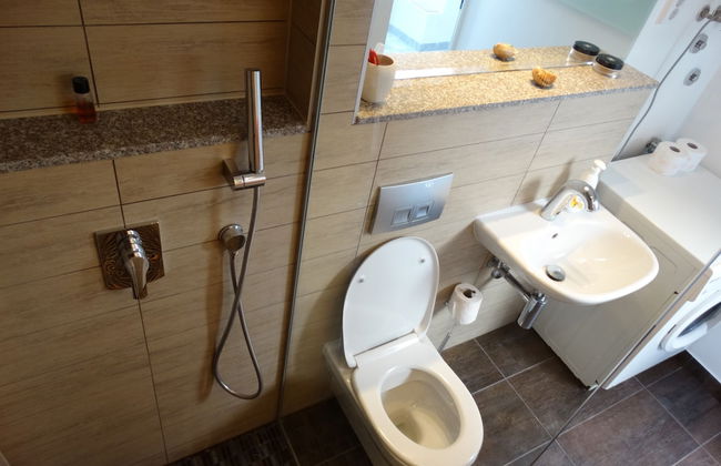 Guesthouse Marileo - Photo 47