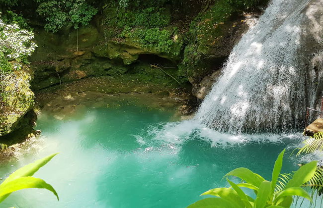 Dunn's River Falls & Blue Hole Day Trip - Photo 1