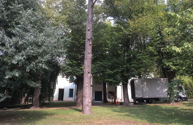 Agriturismo Barchessa - Foto 51