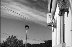 Alojamento Rural de Covelas - Foto 3