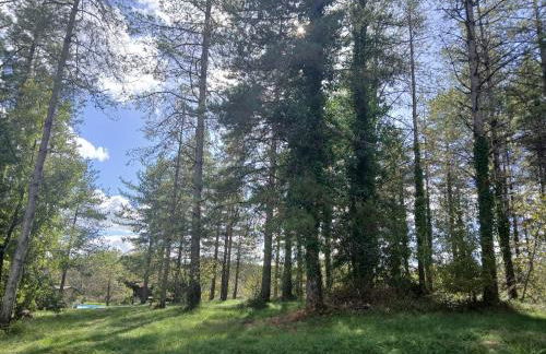 Les Gîtes de La Moure Basse - Foto 29