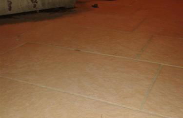 Azienda Agrituristica La Tenuta del Falco - Foto 25