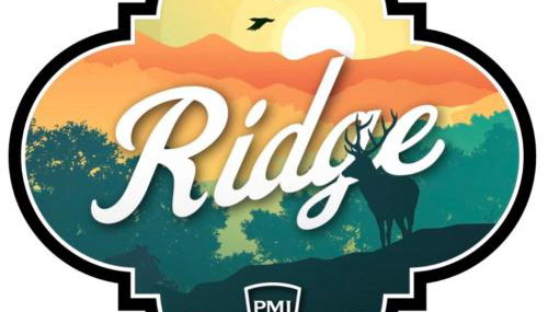 Ridge - A Birdy Vacation Rental - Foto 2