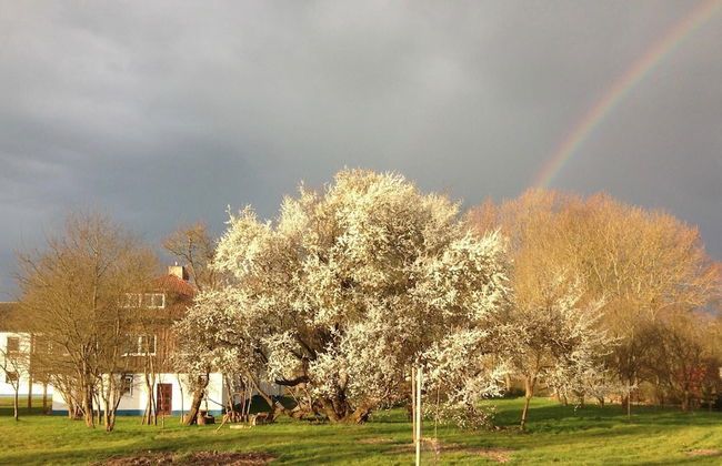 Schone Ferienwohnung mit Terrasse in Boddin - Foto 25