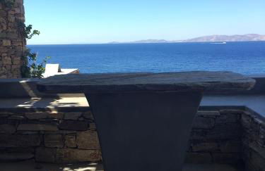 Archipelagotinos - Foto 34