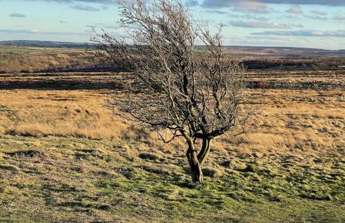 Oak Cottage cosy 5 bed sleeps 8 - dogs welcome - Foto 35