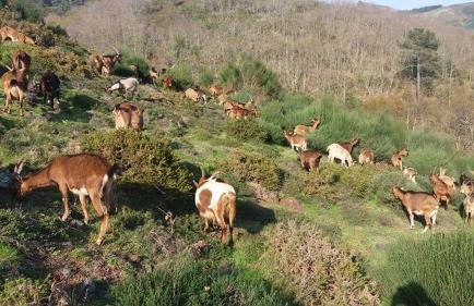 Quinta das Lindas 2 - Foto 64