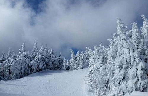 Lovely Lakeside Cabin Rental near Pharaoh Lake Wilderness Area in New York - Photo 22