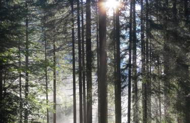 Appartamento Pieve - Foto 12