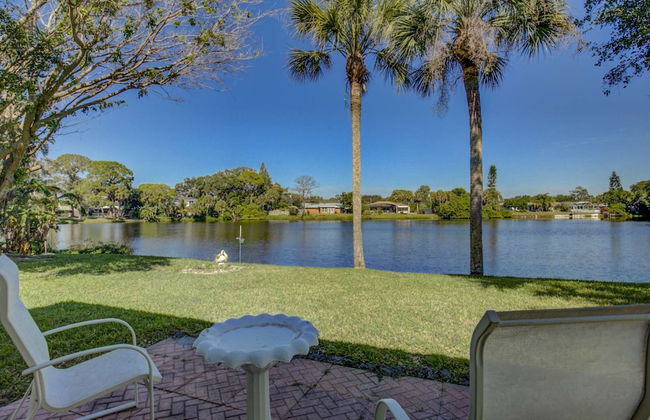 Smiling Dolphin - Foto 16