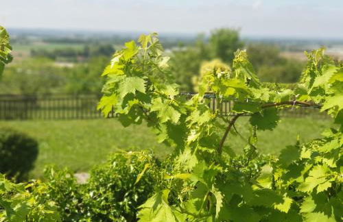 Gîte 4 étoiles à 10mins de Marmande et Tonneins - Foto 12