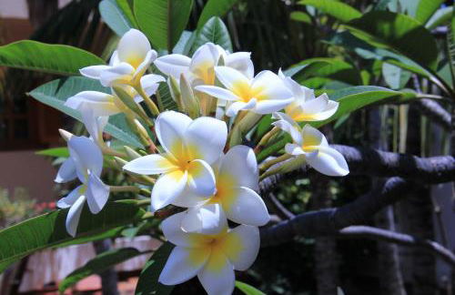 Finca La Punta - Foto 72