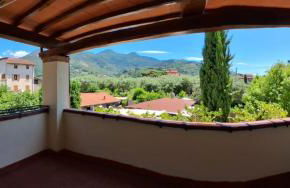 Rustico degli Ulivi - Foto 28