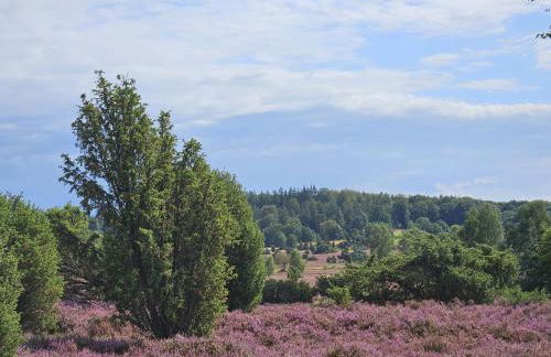 Stadtblick - Foto 29