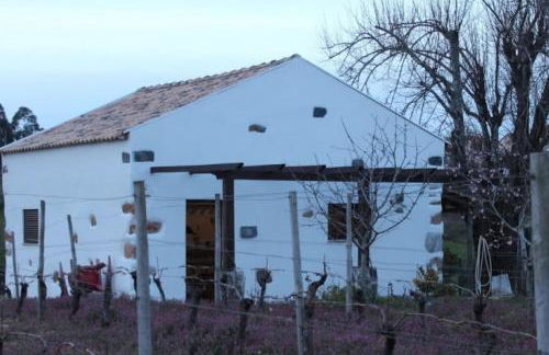 Casa da Tileira - Photo 30