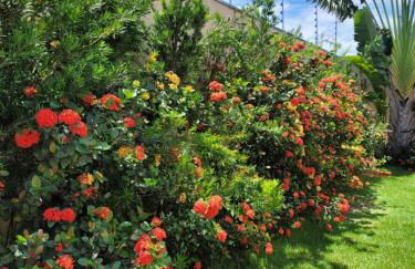 Casa Temporada Nosso Recanto Piscina aquecimento Solar - Foto 37