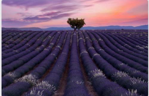 Villa du Chêne Vert Tout confort Option jacuzzi - Foto 34