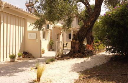 Little Home - Foto 36